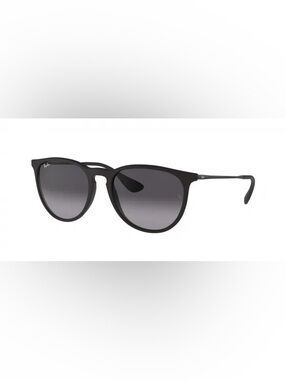 Ray-Ban Erika RB4171 Sunglasses- Black